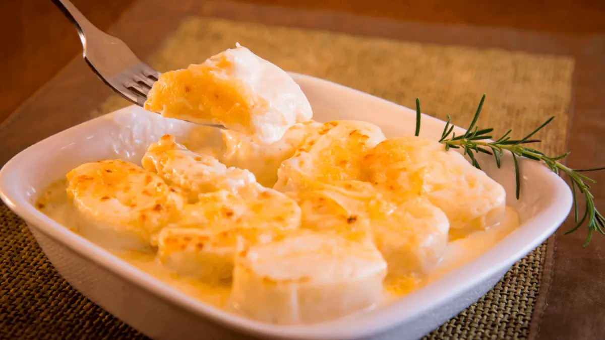 Rondelli aos quatro queijos com molho branco servido em travessa branca quadrada com folha de alecrim