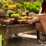 Como fazer um jardim simples sem complicações